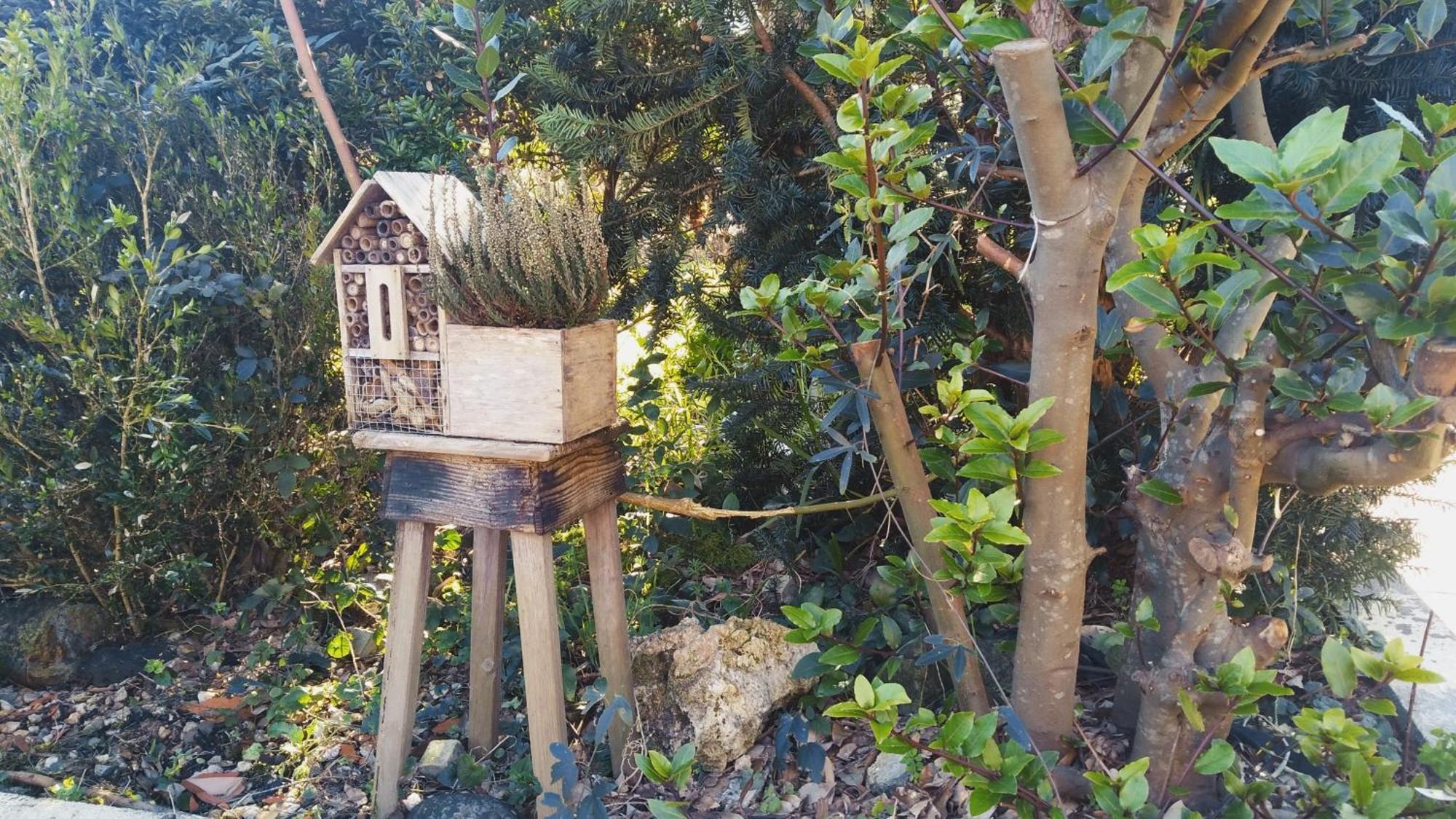 Вілла Casa Iriana - Parking Gratis I Jardin I Barbacoa Оренсе Екстер'єр фото