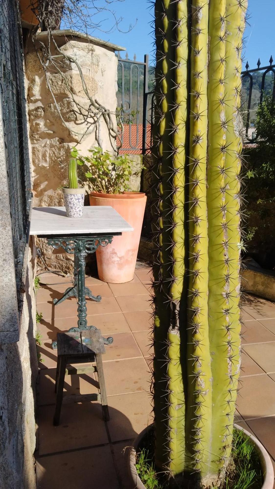Вілла Casa Iriana - Parking Gratis I Jardin I Barbacoa Оренсе Екстер'єр фото